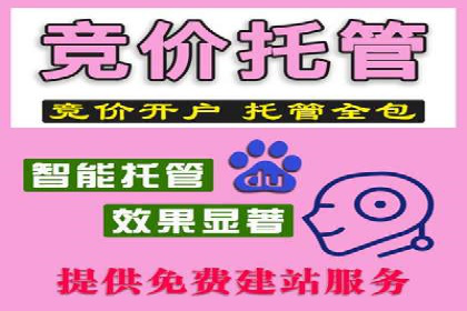 竞价推广实战经验：案例分享与总结